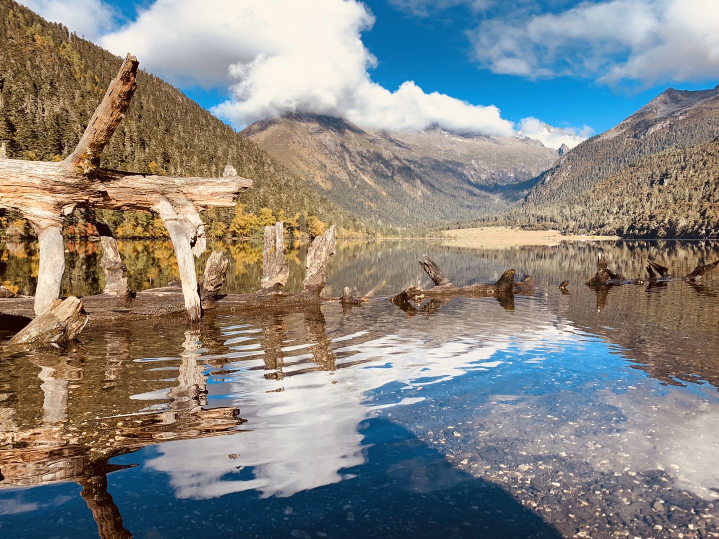 设计师阿昌的个人主页（封面预览） - 主页封面设置 - 站酷设计师设计师阿昌原创素材 - 站酷ZCOOL