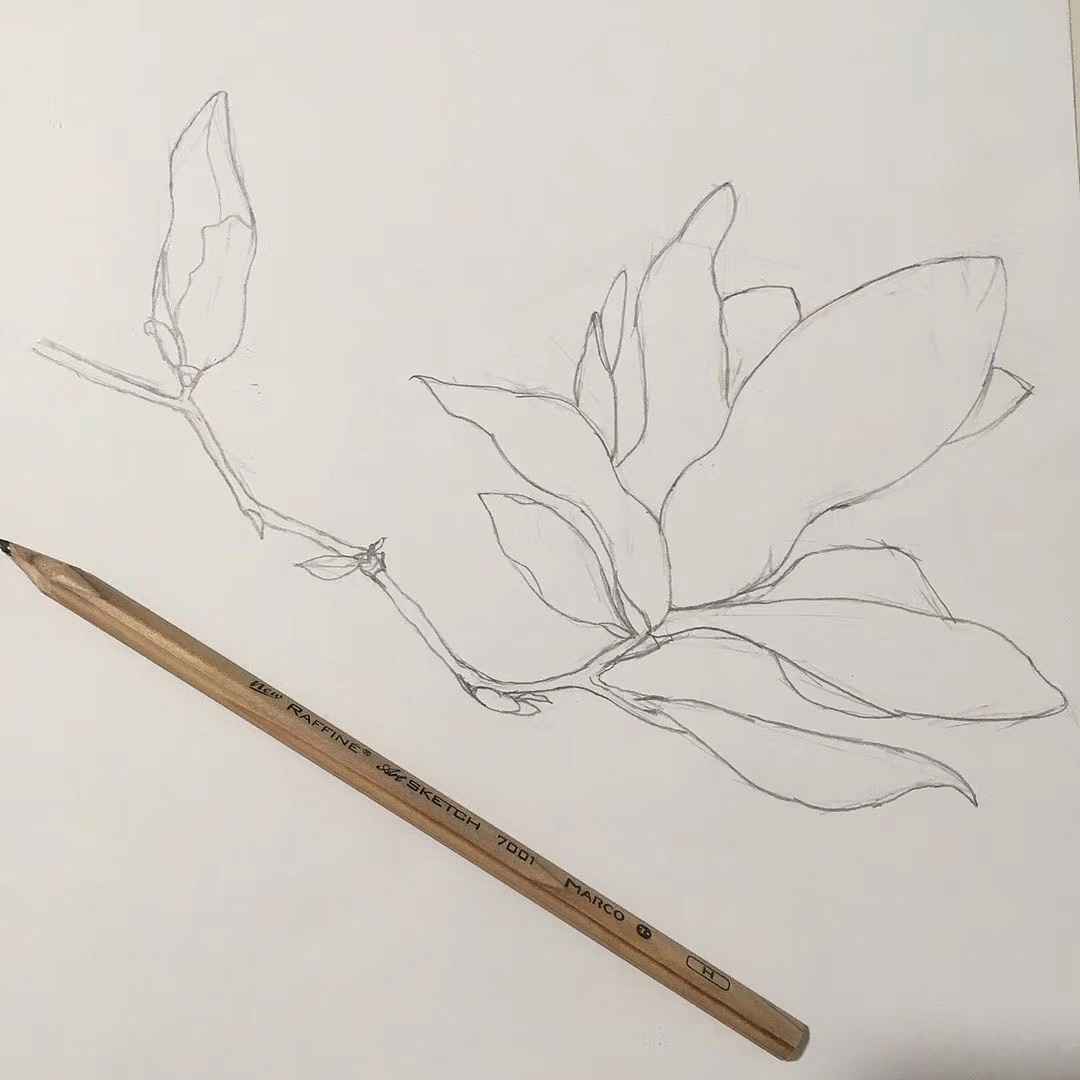 彩铅临摹（图ZMTg0ODIzMTg0） - 创作习作 - 站酷设计师是真真啊原创素材 - 站酷ZCOOL