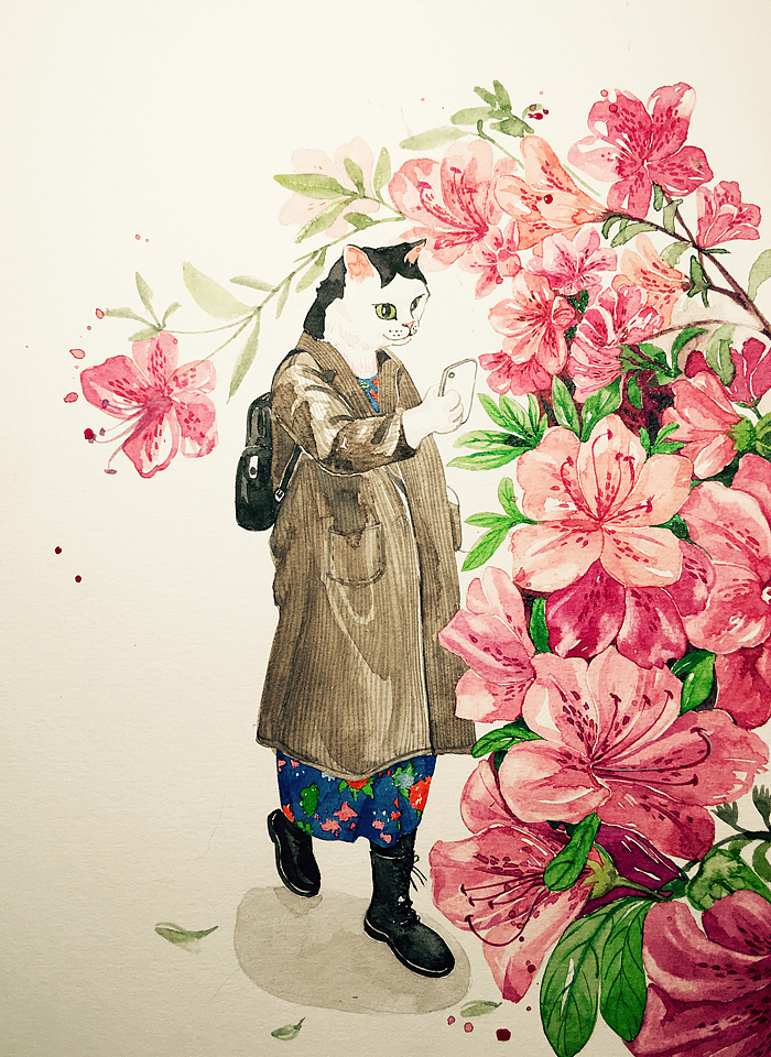 杜鹃花开惹人爱