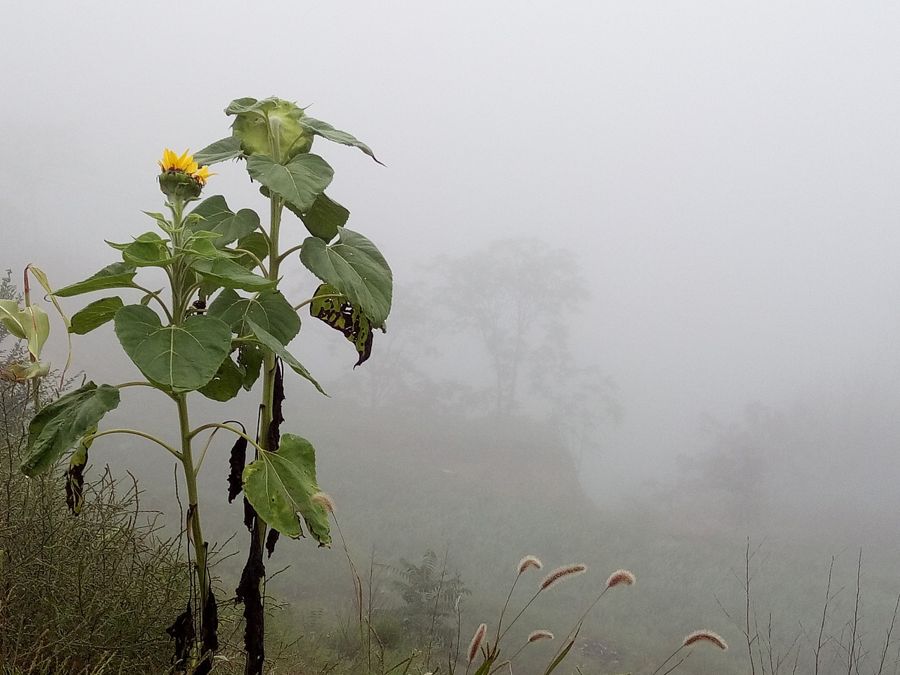 清晨的校园周围!