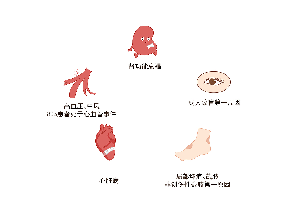 医学人体器官插图（图ZMjgxMjA4NzA0） - 绘本 - 站酷设计师柳织夏原创素材 - 站酷ZCOOL
