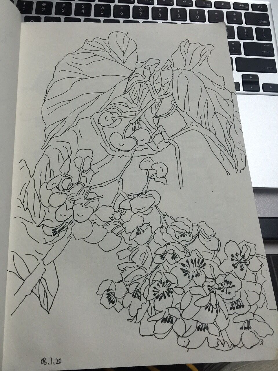 涂鸦分享（图ZMzkwODE3NDQ=） - 艺术插画 - 站酷设计师夏尛寞滴原创素材 - 站酷ZCOOL