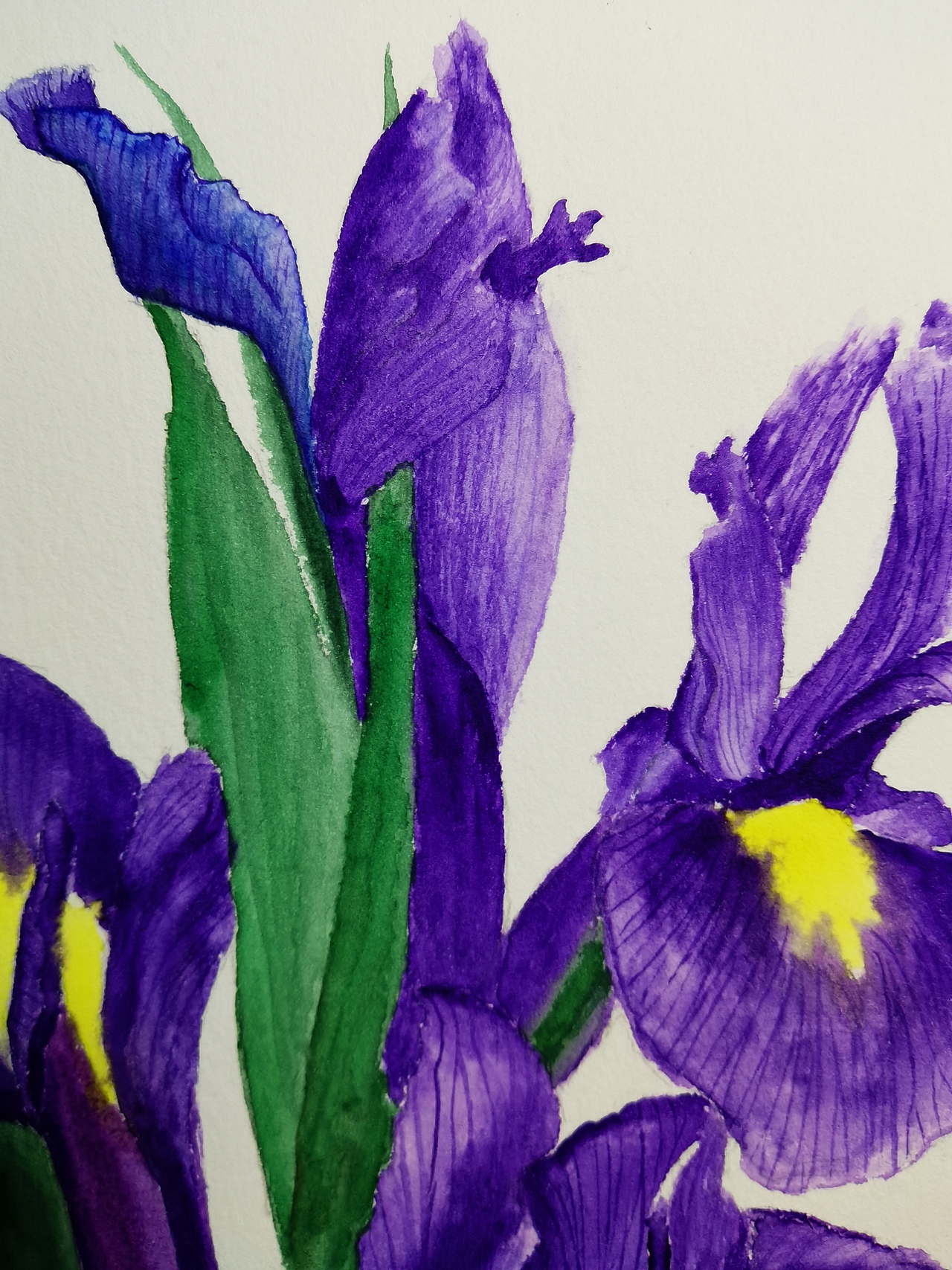 原创水彩作品（图ZMjg4MDMzOTg4） - 艺术插画 - 站酷设计师夏天的画原创素材 - 站酷ZCOOL