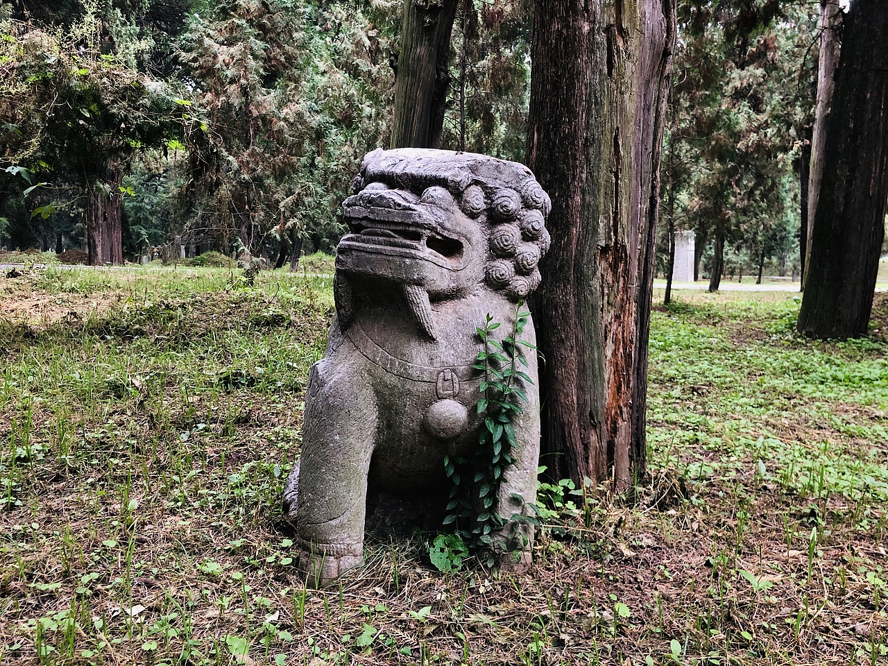 游曲阜三孔 中秋特辑(其三)