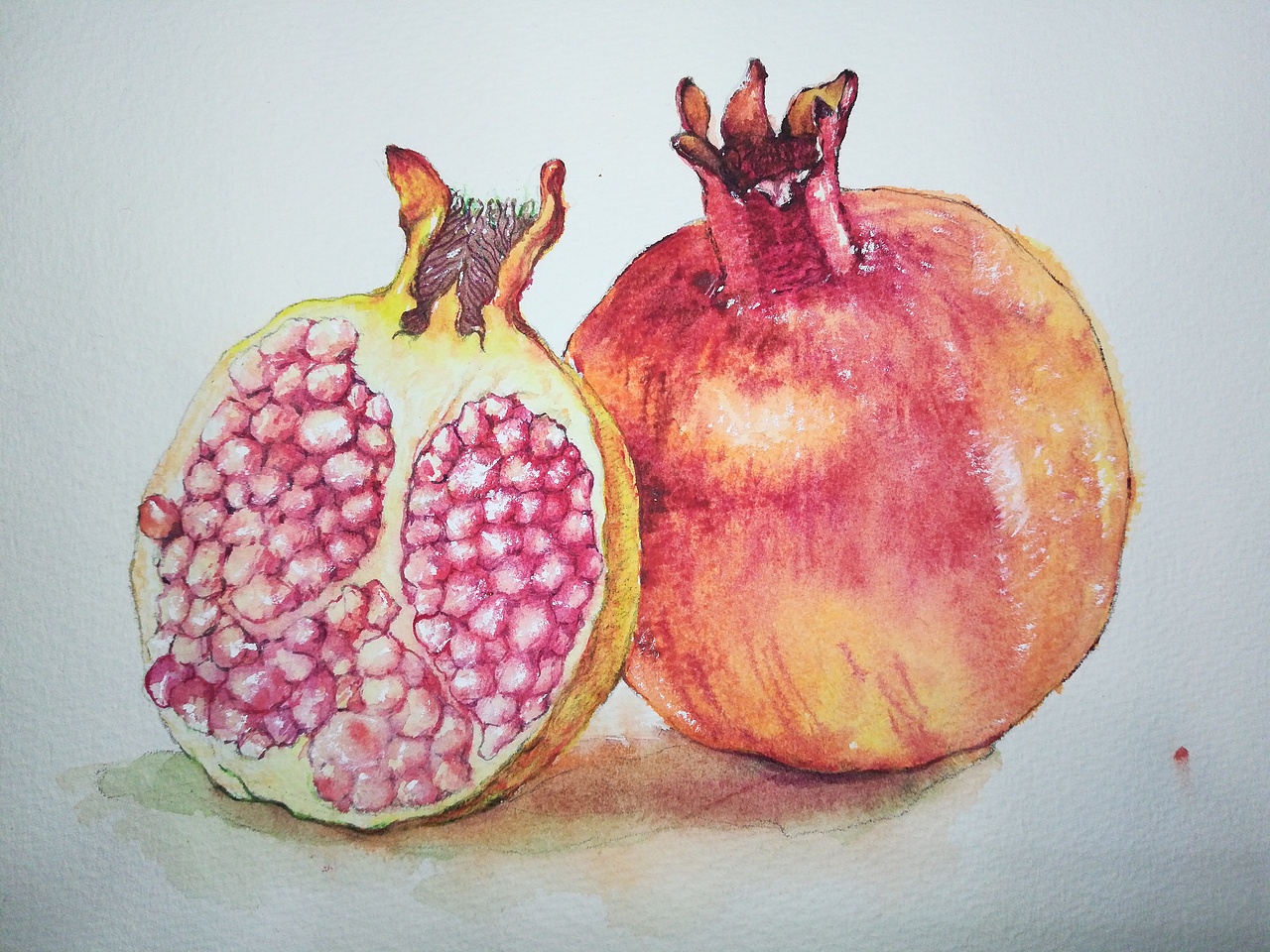 小东西练习随手画,水彩和彩铅