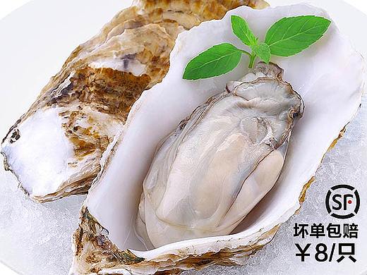 生蚝