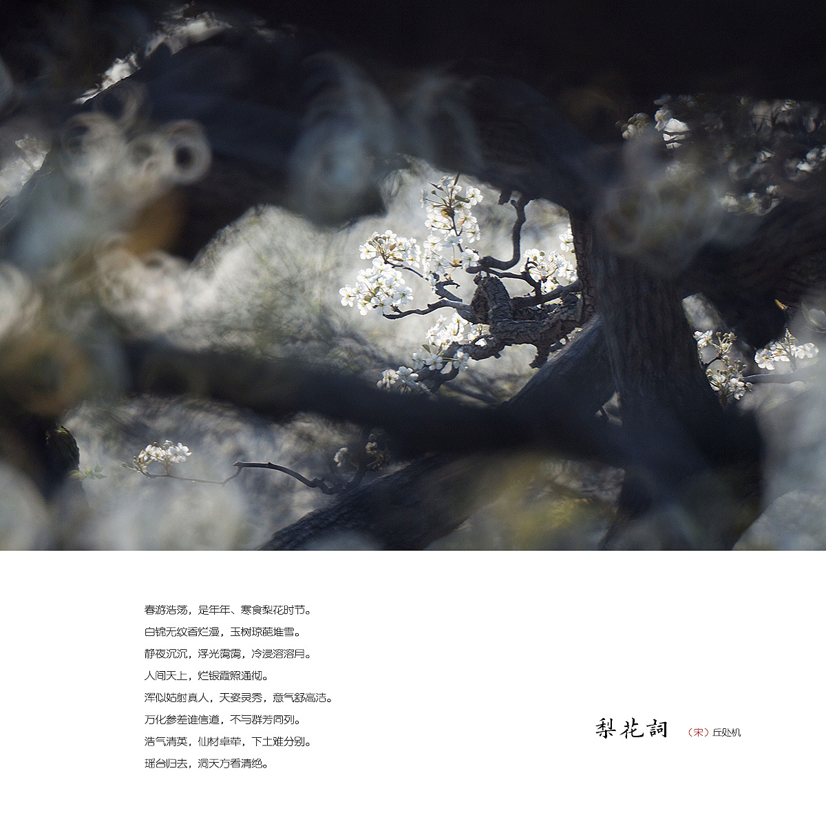 虚什么俗成语_成语故事简笔画
