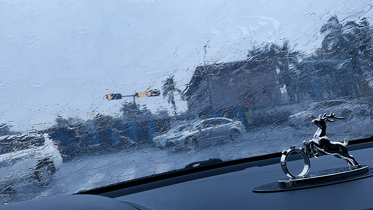 用来用去手机好用系列-(iPhoneXR 2021拍摄记录)