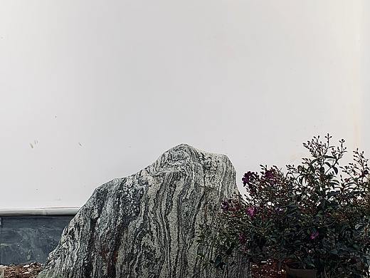 庭院景观