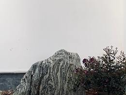 庭院花园