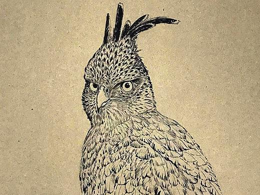 工作之余画的小画