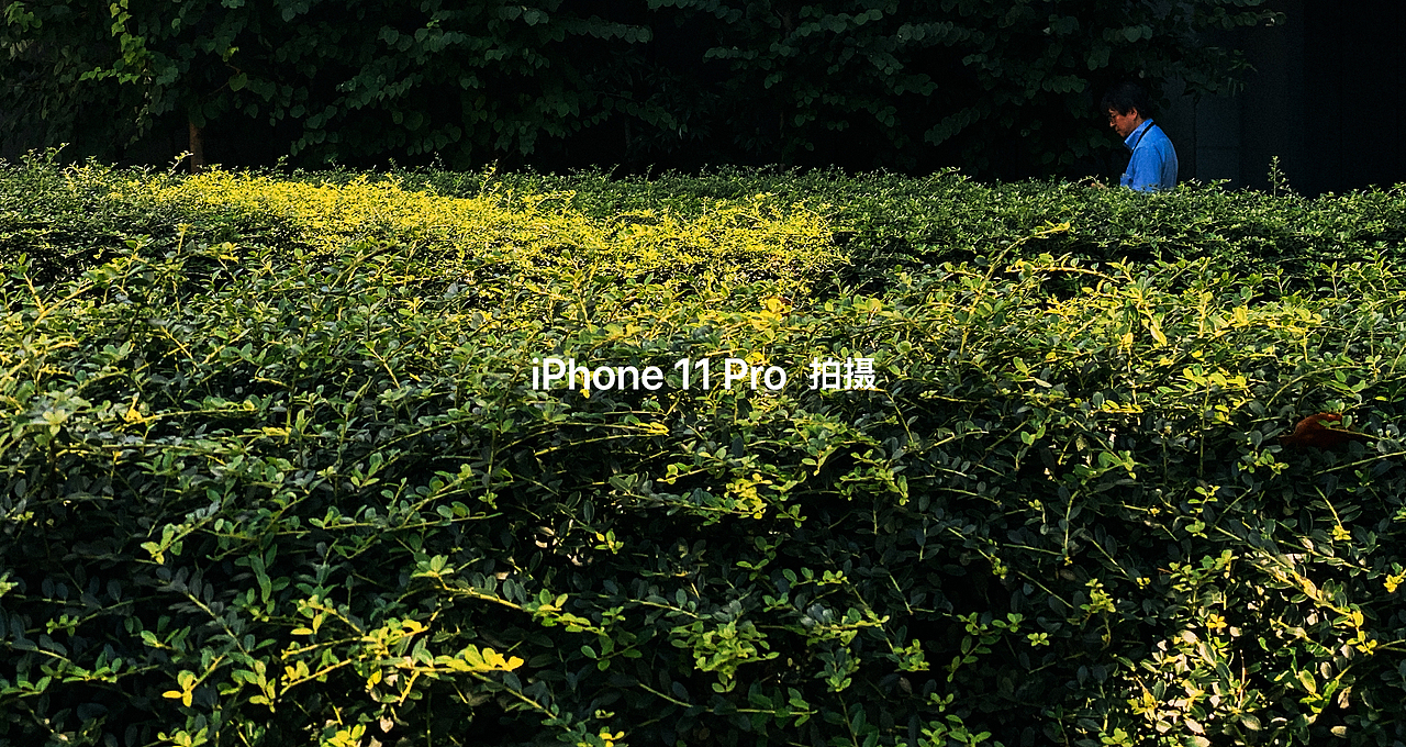 iPhone11 pro max样片-白天篇-附下载（图ZMTgyMDA2MjU2） - 人文/纪实摄影 - 站酷设计师武减武文化创意原创素材 - 站酷ZCOOL
