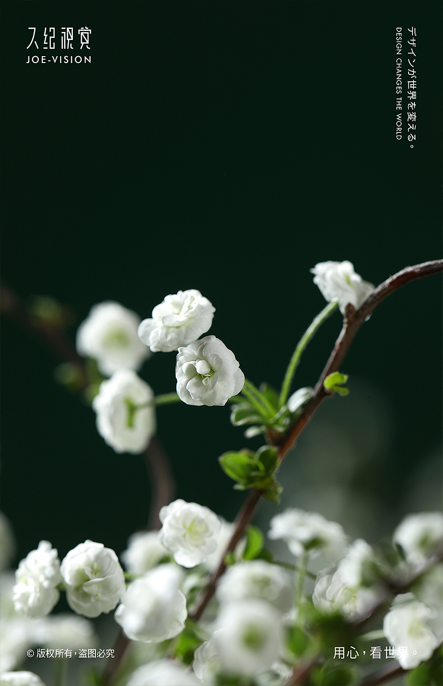 产品摄影『咖啡壶｜开启手冲咖啡的一天』X JOE VISION（图ZMjQ3OTc4MDY0） - 产品摄影 - 站酷设计师南京久纪视觉摄影原创素材 - 站酷ZCOOL