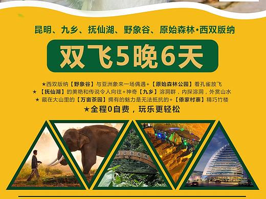 西双版纳旅游海报设计