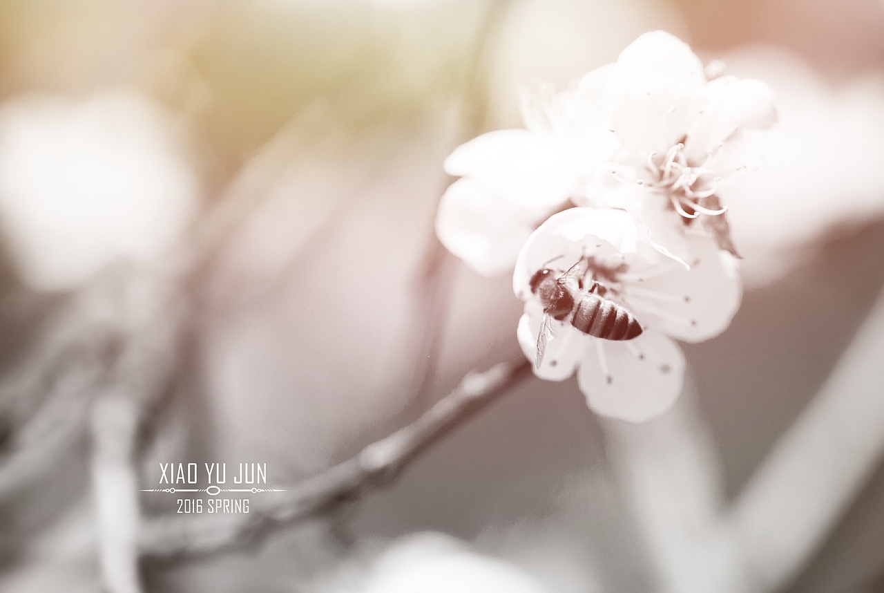 【20140403】没事走两步