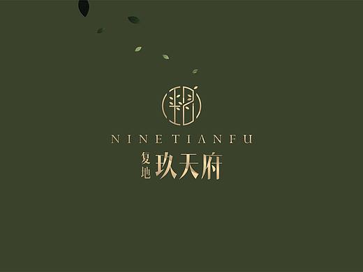 复地2套提案VI