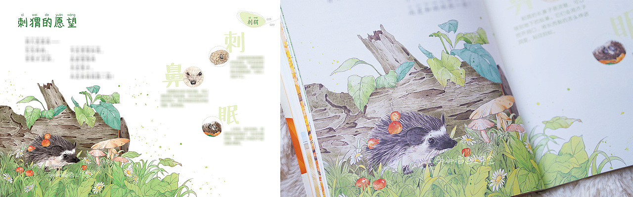 大自然童诗绘本 | 昆虫篇&动物篇（已商用）（图ZMzM0ODQxMTIw） - 儿童插画 - 站酷设计师钟钟插画工作室原创素材 - 站酷ZCOOL