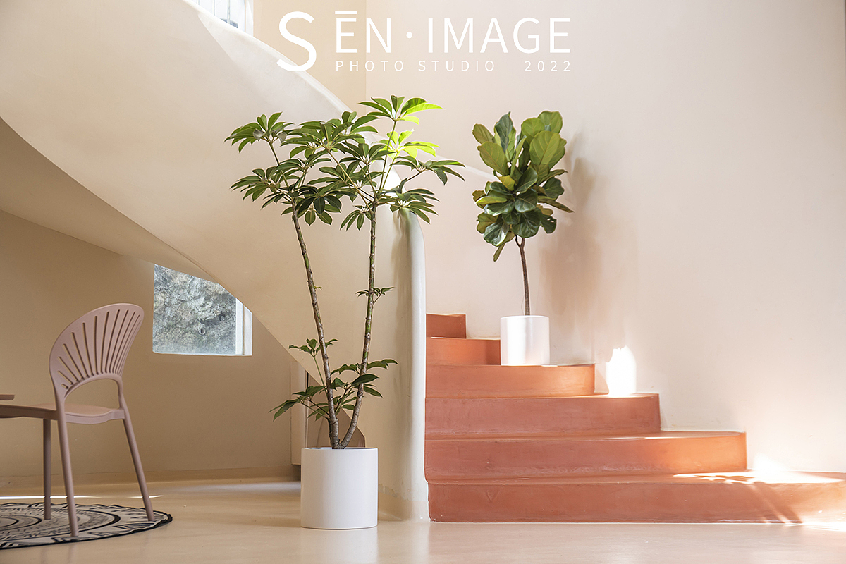 亚马逊花盆拍摄