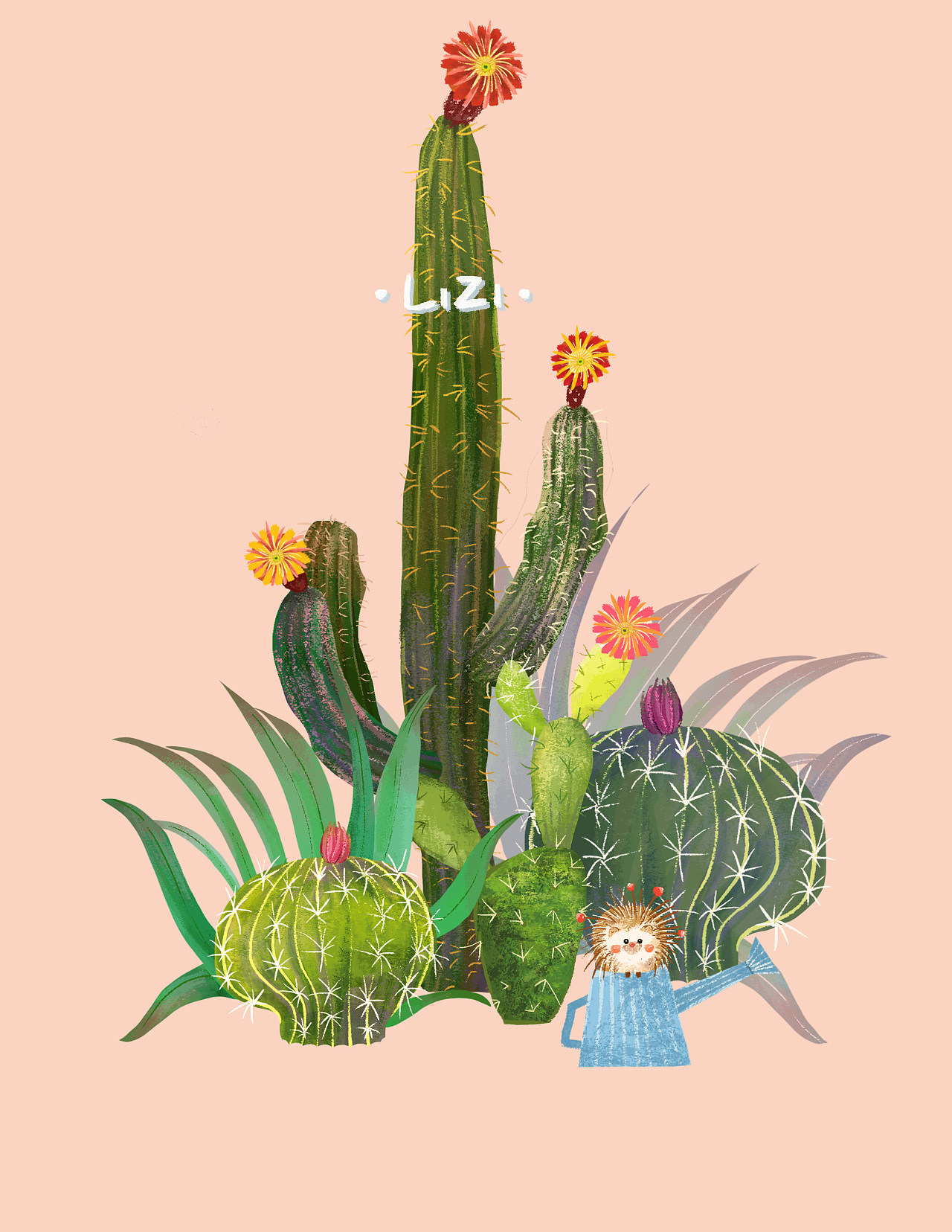植物小插图
