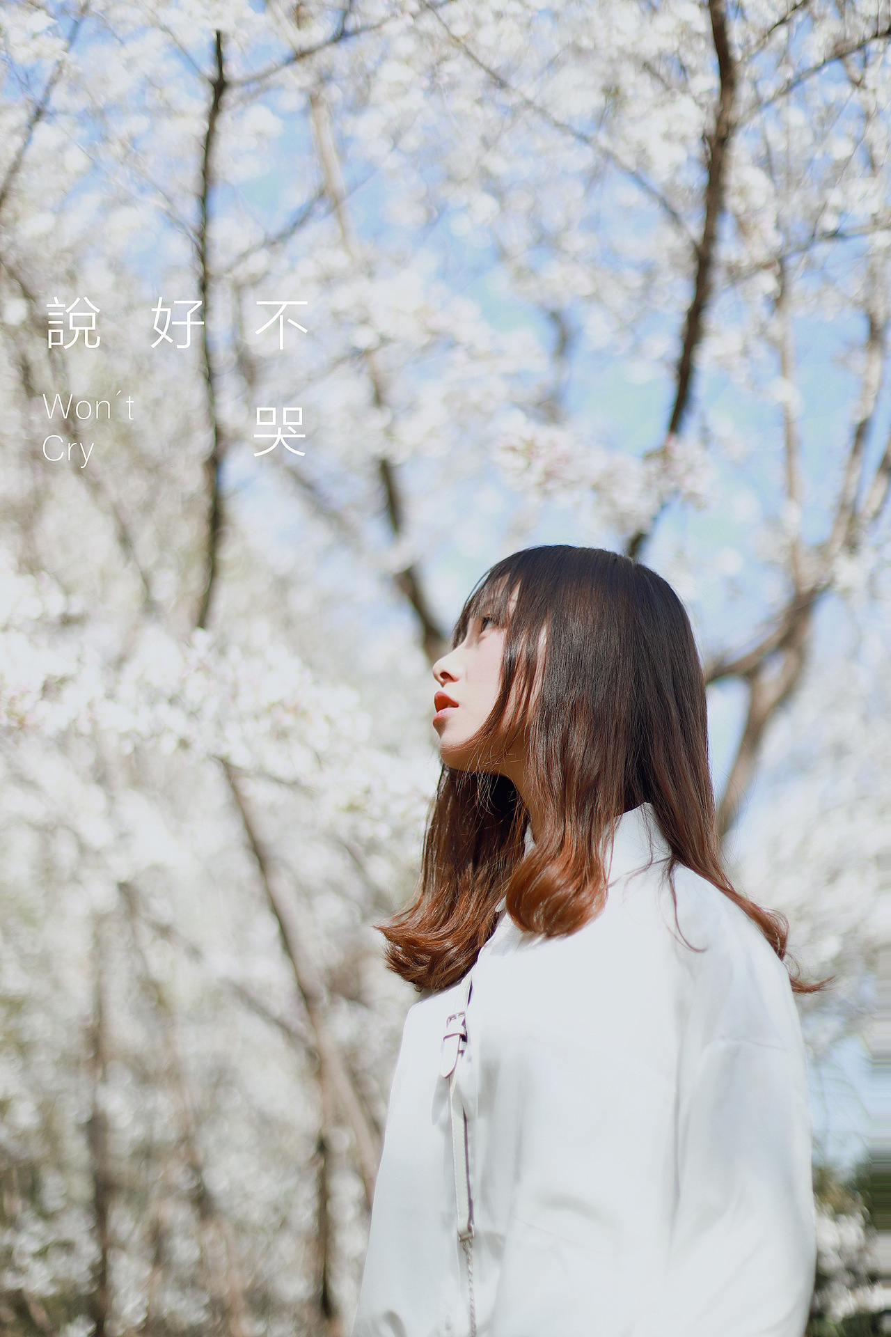 樱花七日 只争朝夕（图ZMjAxODU5NTEy） - 人像摄影 - 站酷设计师jayrongrong原创素材 - 站酷ZCOOL