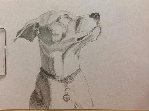 菜鸟之素描学习记录
