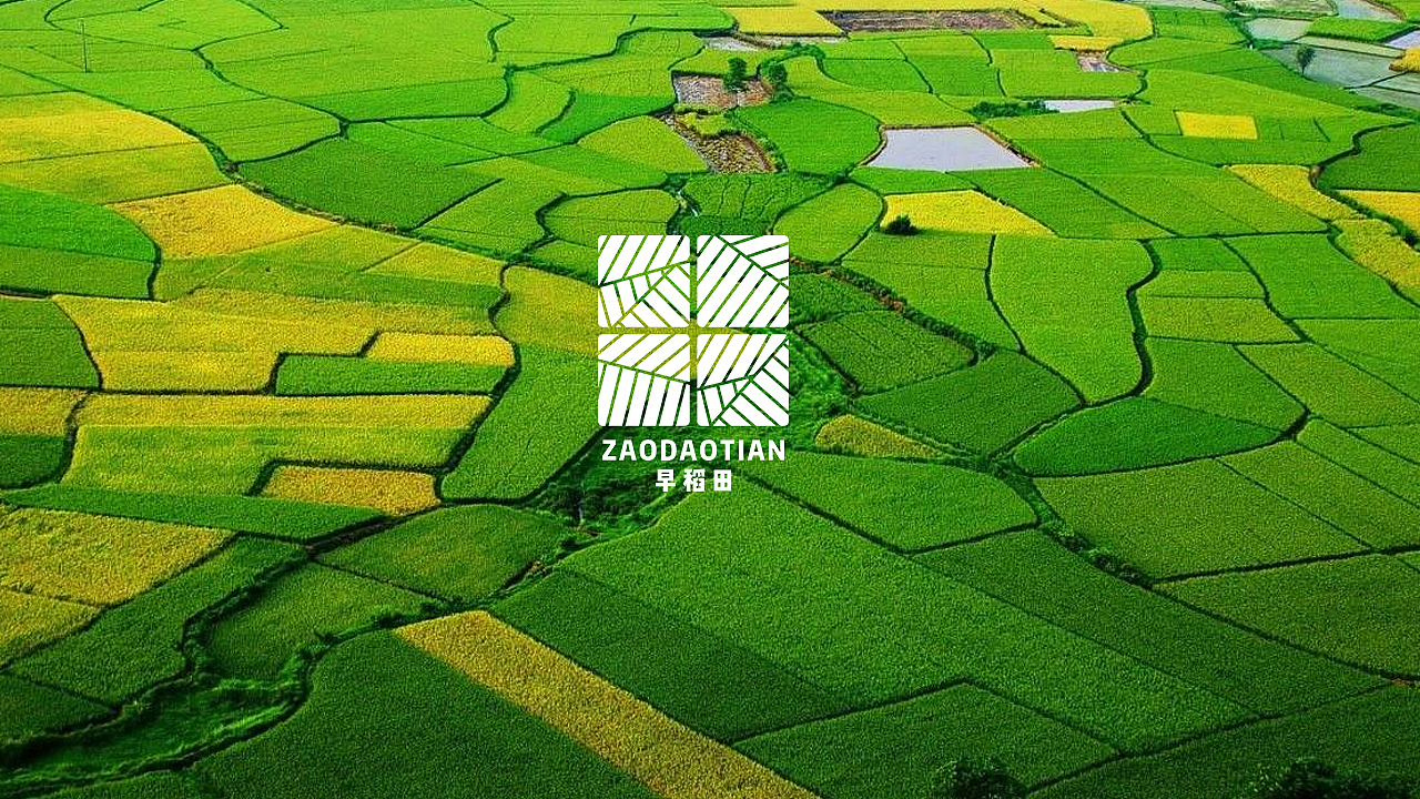 《早稻田》大米品牌