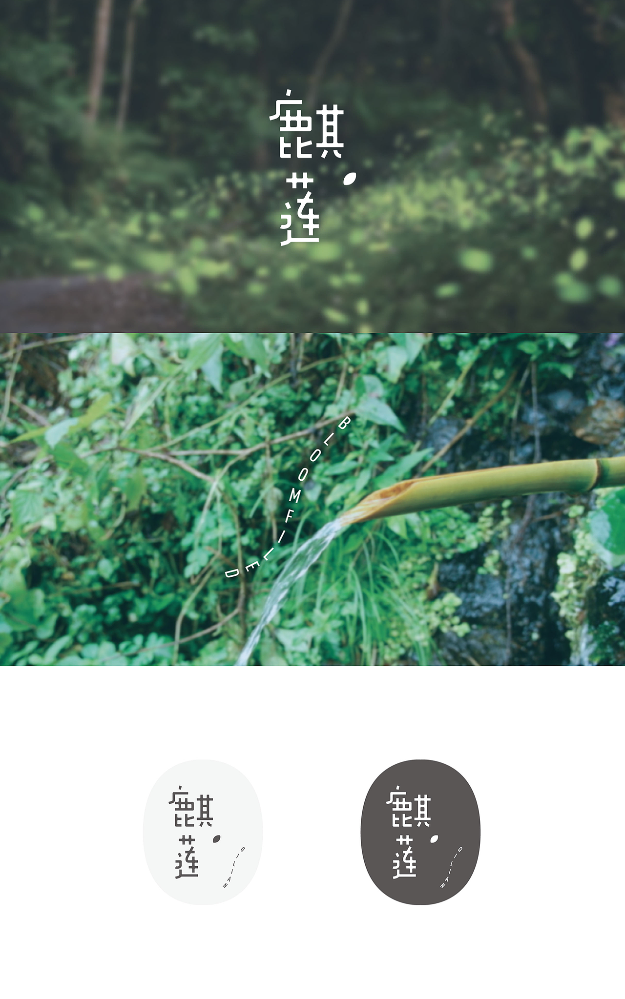 麒莲--鲜花衍生产品品牌整体形象（图ZOTE2MDY5NDQ=） - 品牌 - 站酷设计师塔奇iIIUSTRATOR原创素材 - 站酷ZCOOL