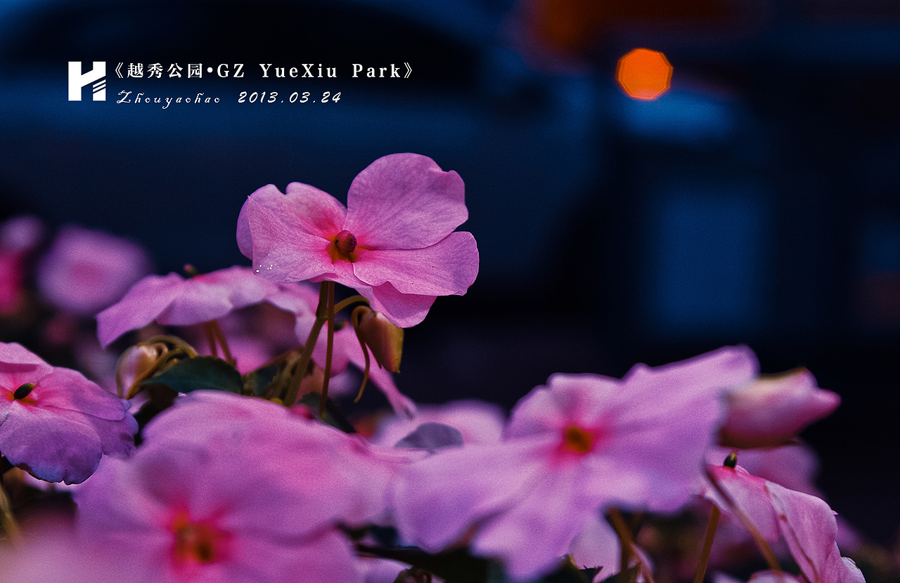 越秀公园.GZ YueXiu Park（图ZODc3MzQ5Ng==） - 风光摄影 - 站酷设计师haodychou原创素材 - 站酷ZCOOL