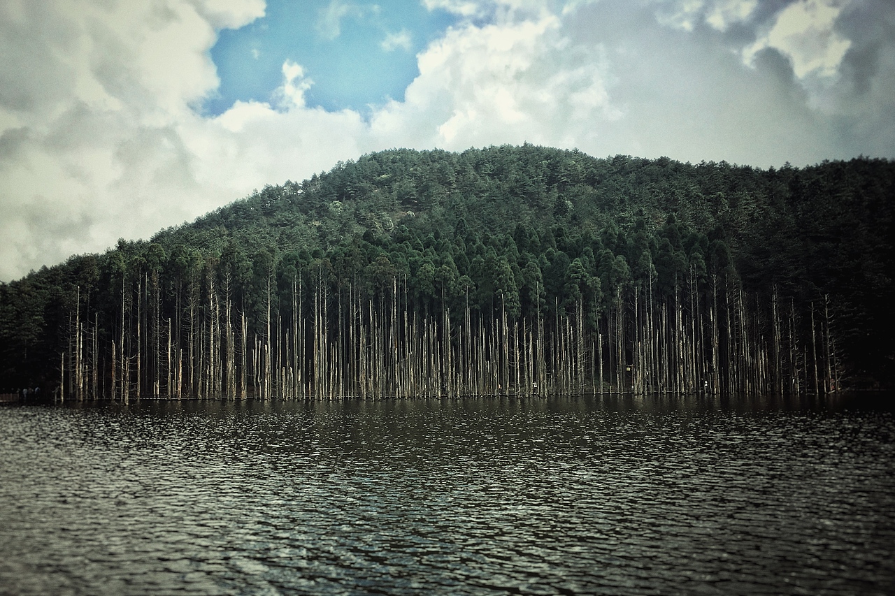 iphone6s 摄影（图ZNzQ2NzA0ODA=） - 风光摄影 - 站酷设计师神奇芋头原创素材 - 站酷ZCOOL