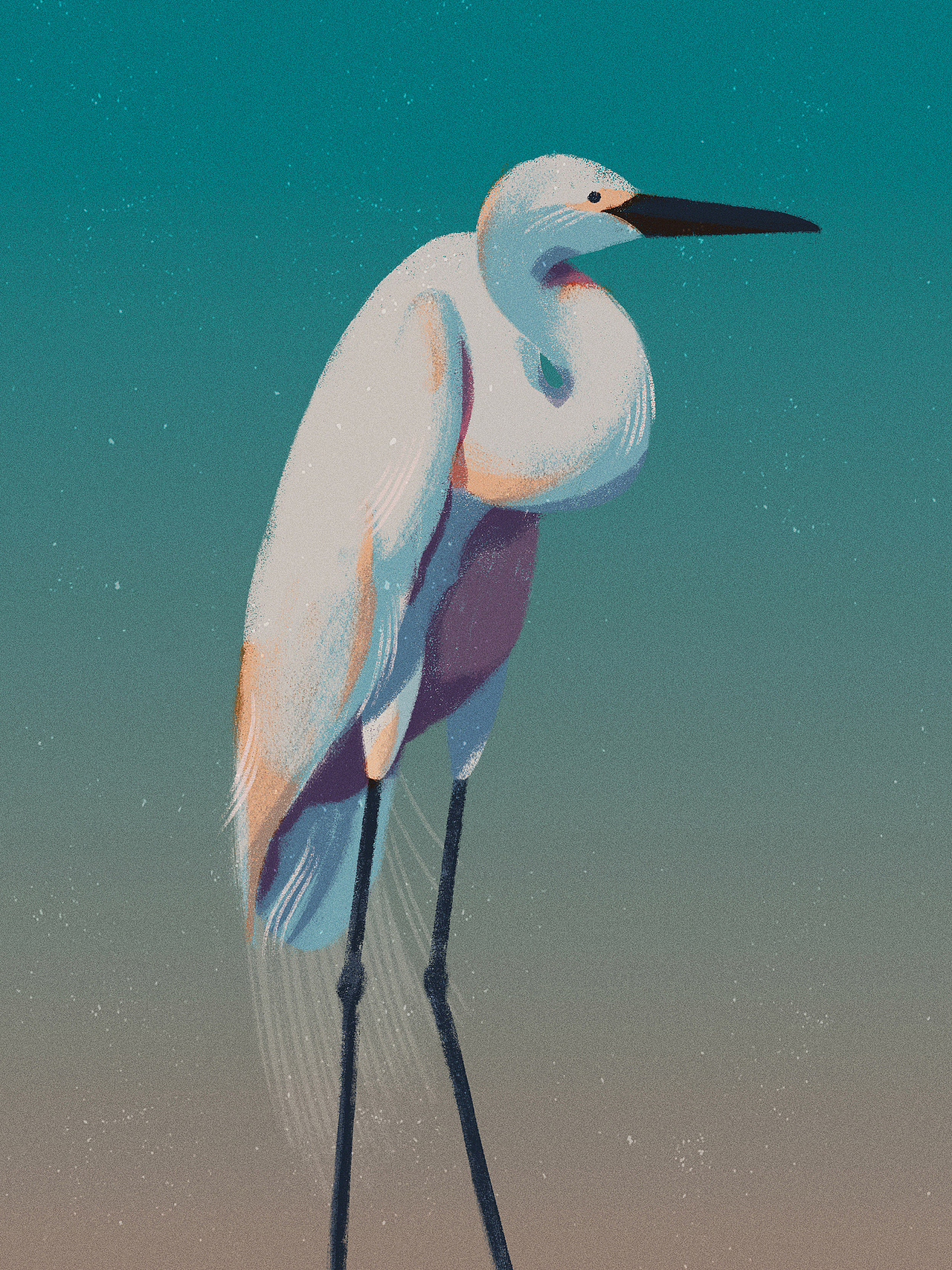 2019插画总结-熊鹰bear（图ZMTkzMzgzNTcy） - 创作习作 - 站酷设计师熊鹰bear原创素材 - 站酷ZCOOL