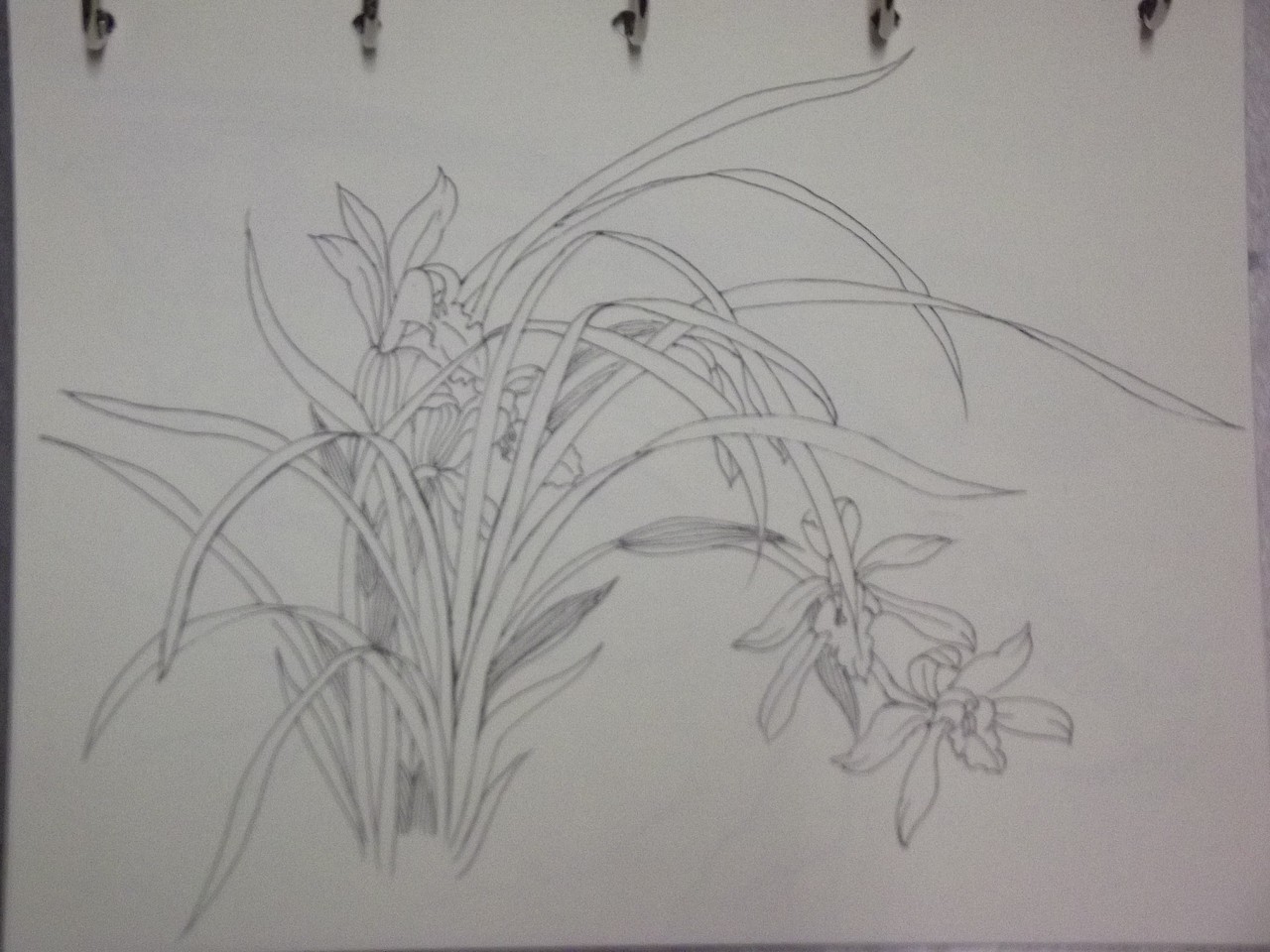 钢笔速写（图ZNTk1NjMyODA=） - 艺术插画 - 站酷设计师甲甲玲原创素材 - 站酷ZCOOL