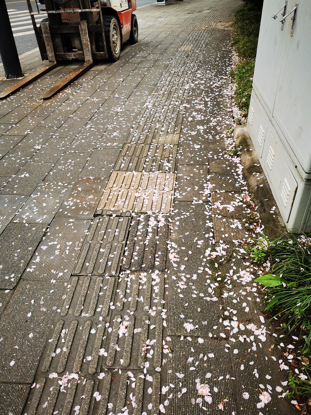 昨夜雨疏风骤，（图ZMjUwMTM1MDky） - 风光摄影 - 站酷设计师Aprilq原创素材 - 站酷ZCOOL