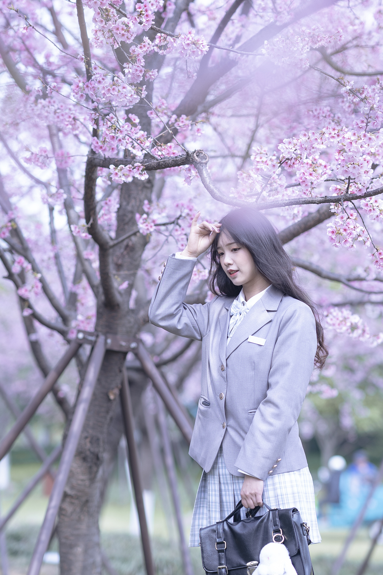 情侣的樱花|摄影|人像摄影|baiyang421 - 原创作品 - 站酷 (ZCOOL)