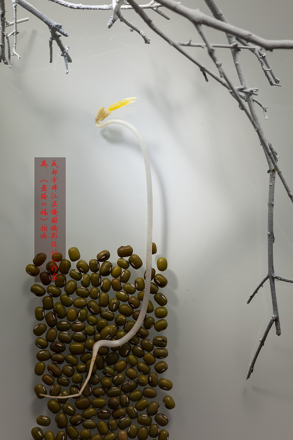 跷脚牛肉年轻感拍法｜尽膳口福（图ZOTE2NzczNzY=） - 产品摄影 - 站酷设计师贰佰肆拾玖点玖原创素材 - 站酷ZCOOL