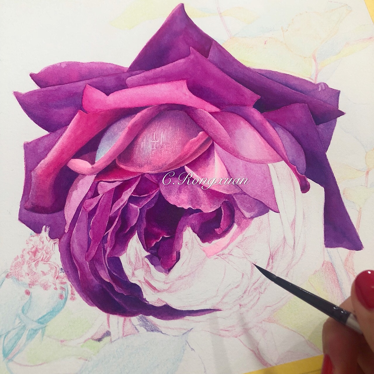 水彩玫瑰|纯艺术|绘画|溶萱_原创作品-站酷zcool