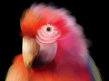 手绘小练（个人主页-ZMjU3Mzk3MDg=） - 创作习作 - 站酷设计师丸子俊原创素材 - 站酷ZCOOL