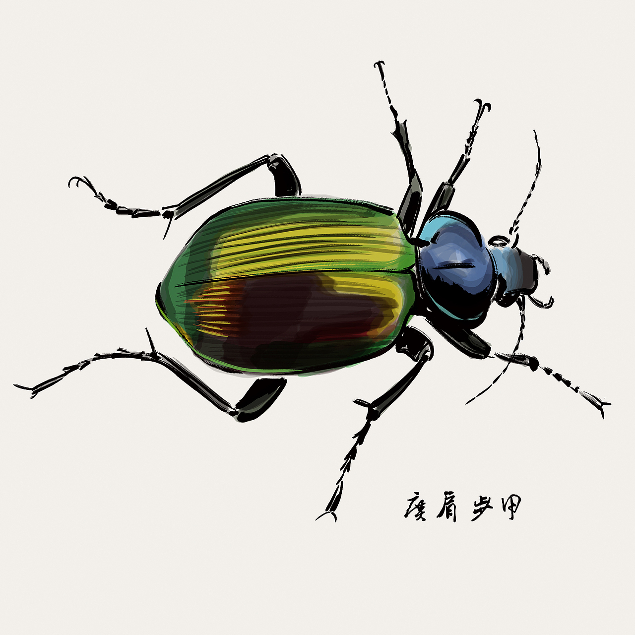 100张水墨甲虫
