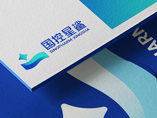 国控星鲨品牌升级方案