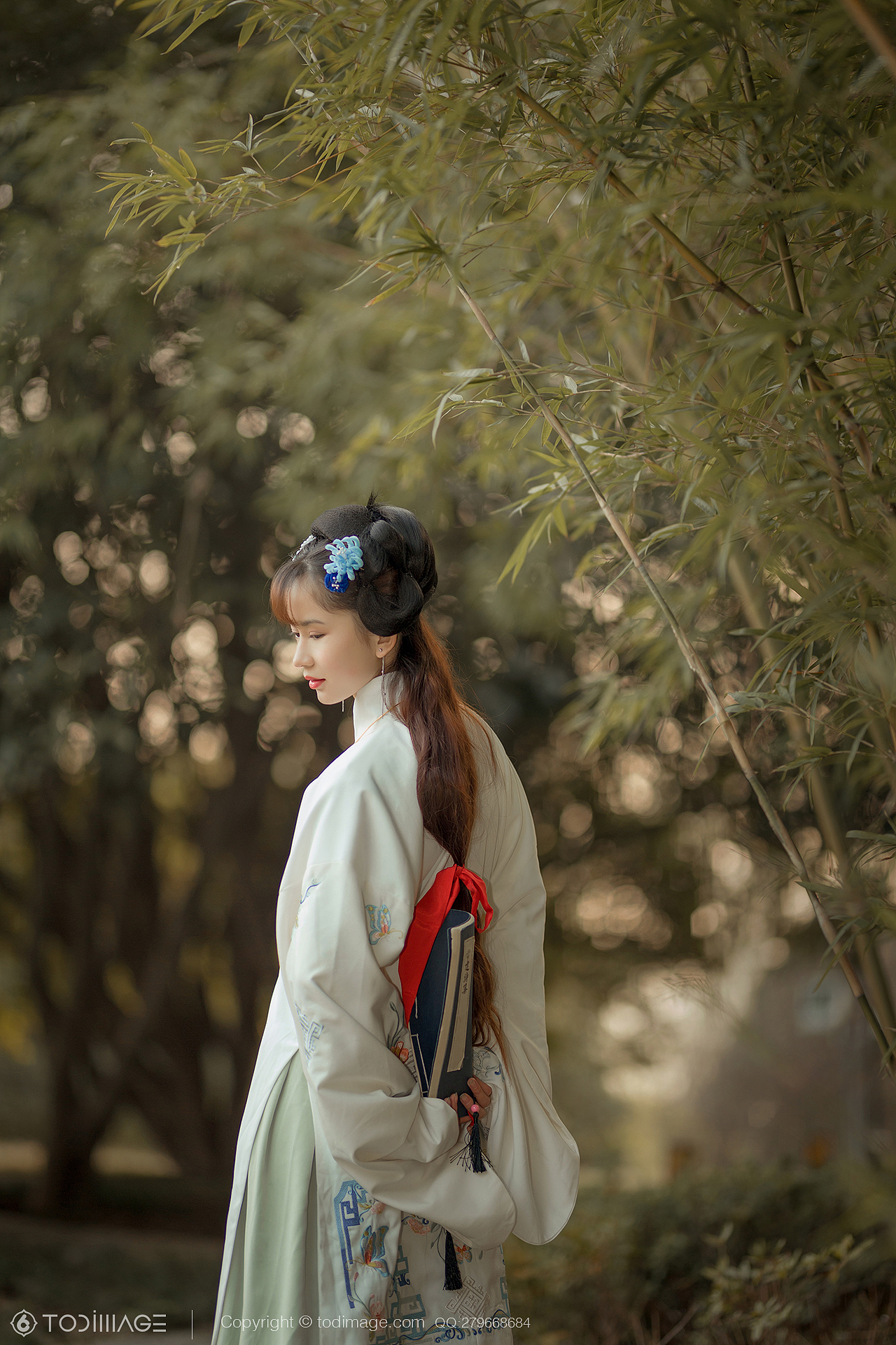 古风人像《阅秋图》