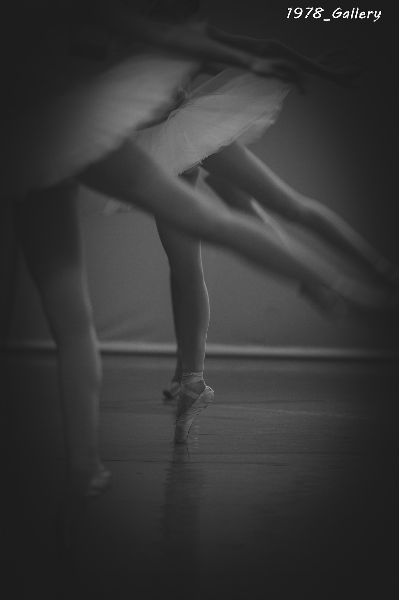 Ballet Swan Lake（图ZNTA3NTcxMTI=） - 人像摄影 - 站酷设计师1978_Gallery原创素材 - 站酷ZCOOL