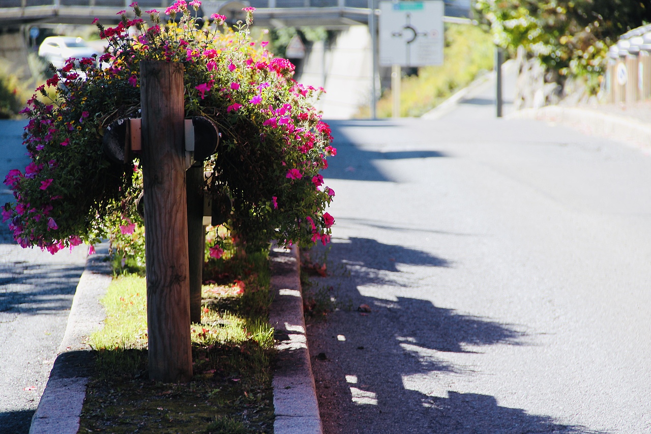阿尔卑斯山下的小镇