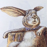 孙健ken哥的头像