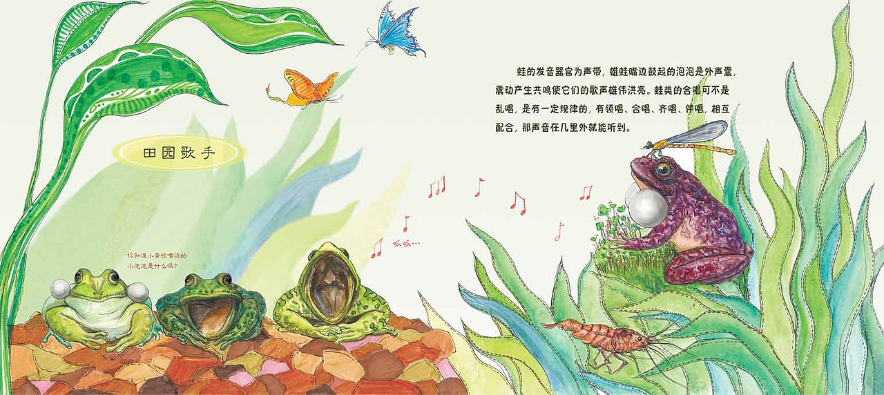 《小青蛙成长记》儿童科普类读物（图ZMjY3NjI0MDA=） - 儿童插画 - 站酷设计师白芳圆原创素材 - 站酷ZCOOL