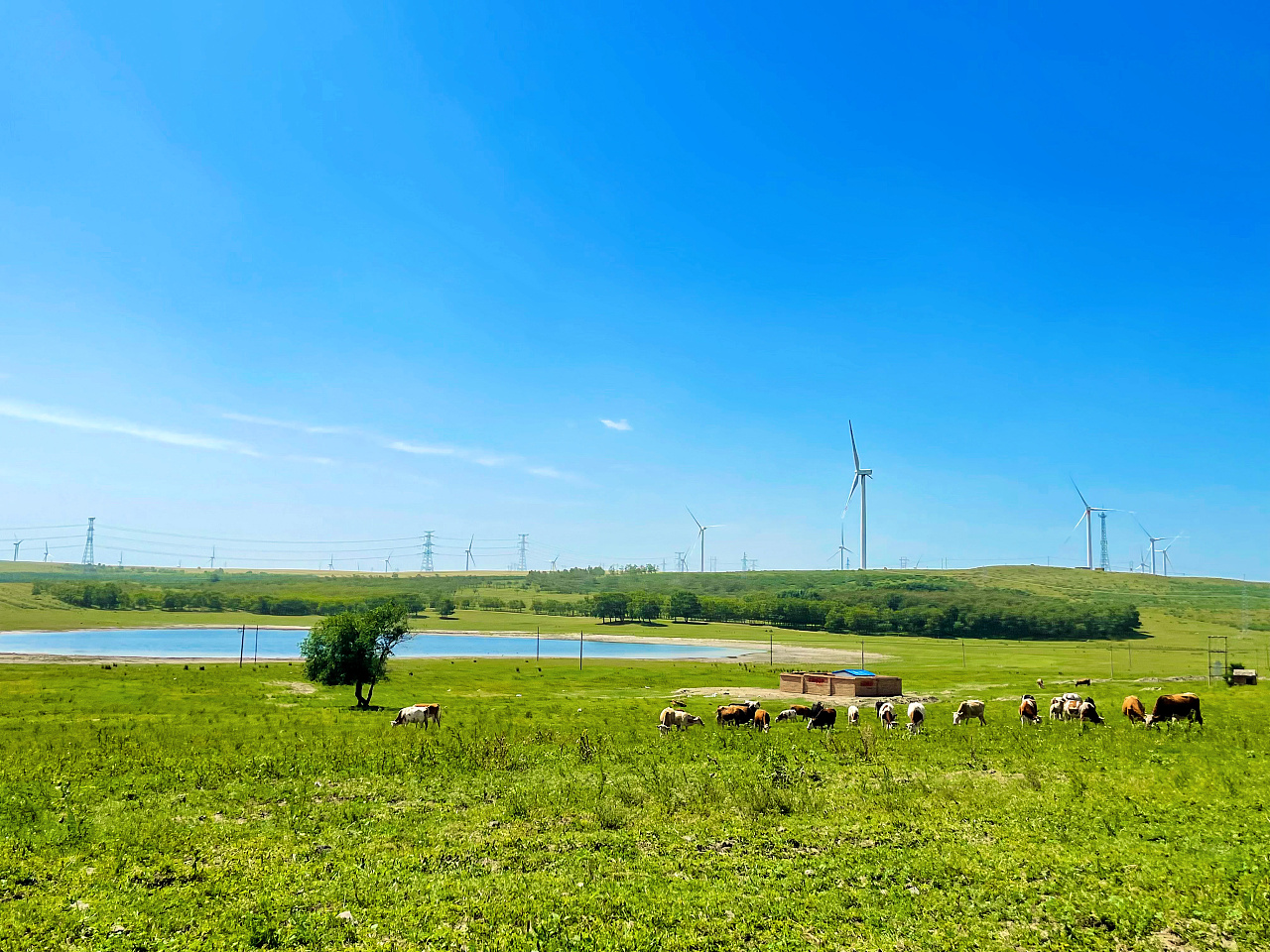 北方农村平原|摄影|风光摄影|学淼 - 原创作品 - 站酷 (zcool)