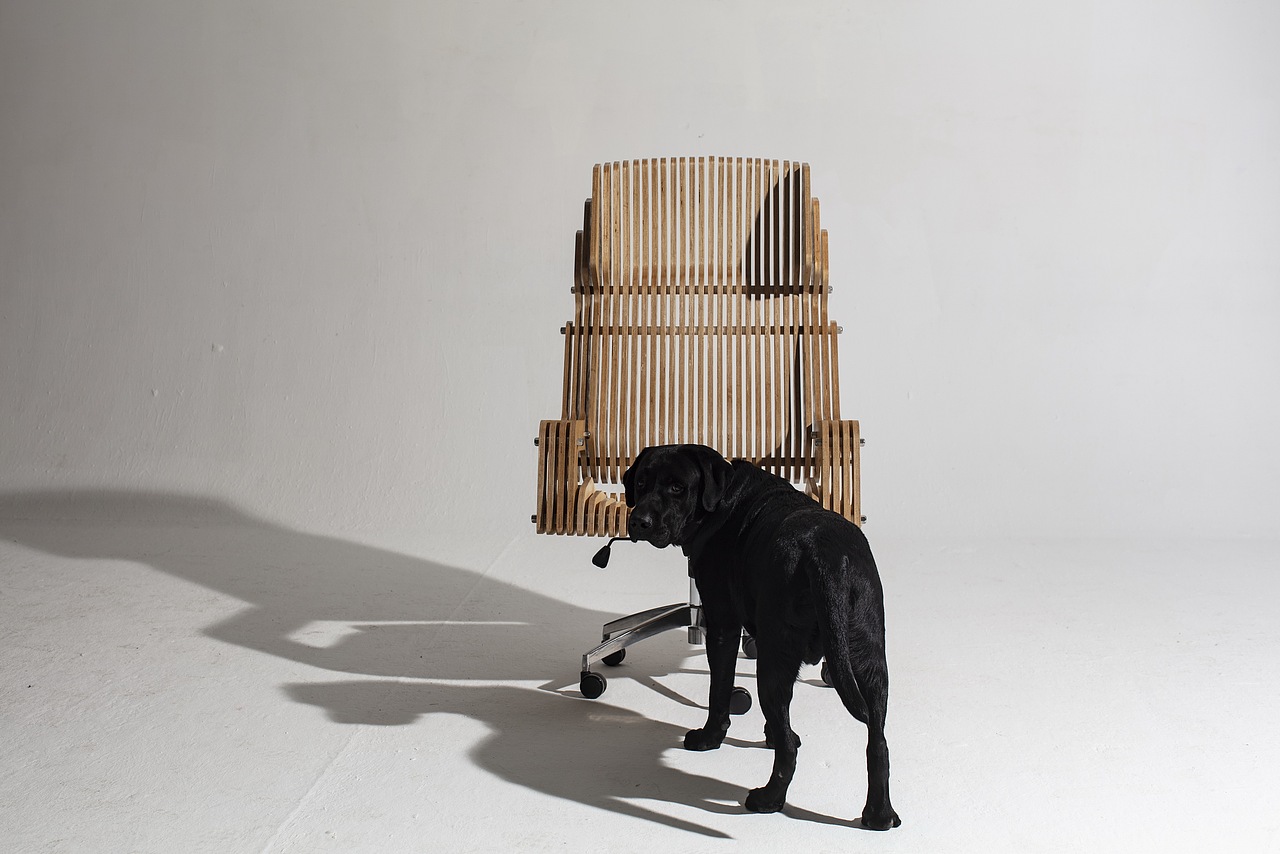 宝座_yokyo1975站酷ZCOOL