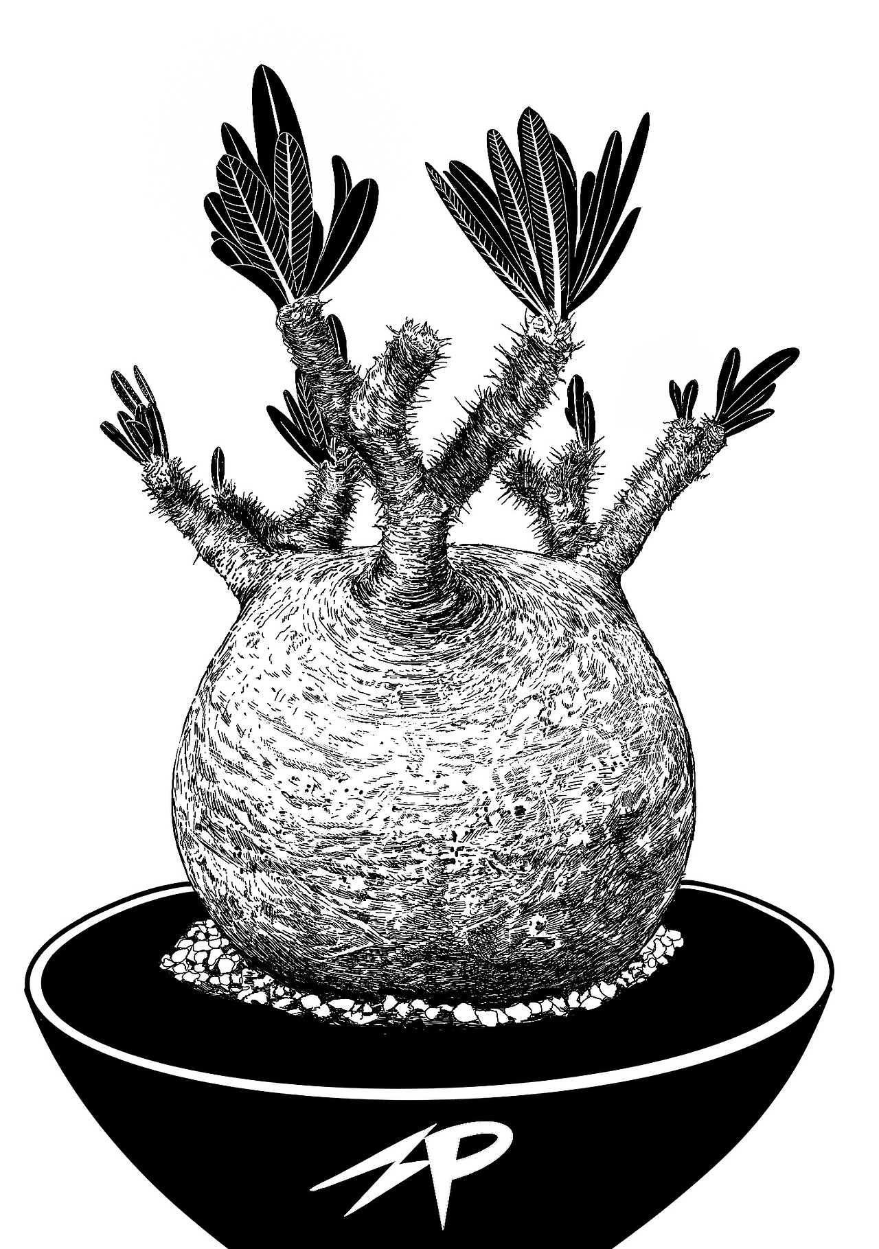 块根植物——象牙宫|插画|艺术插画|搜酷咖豆 - 原创作品 - 站酷