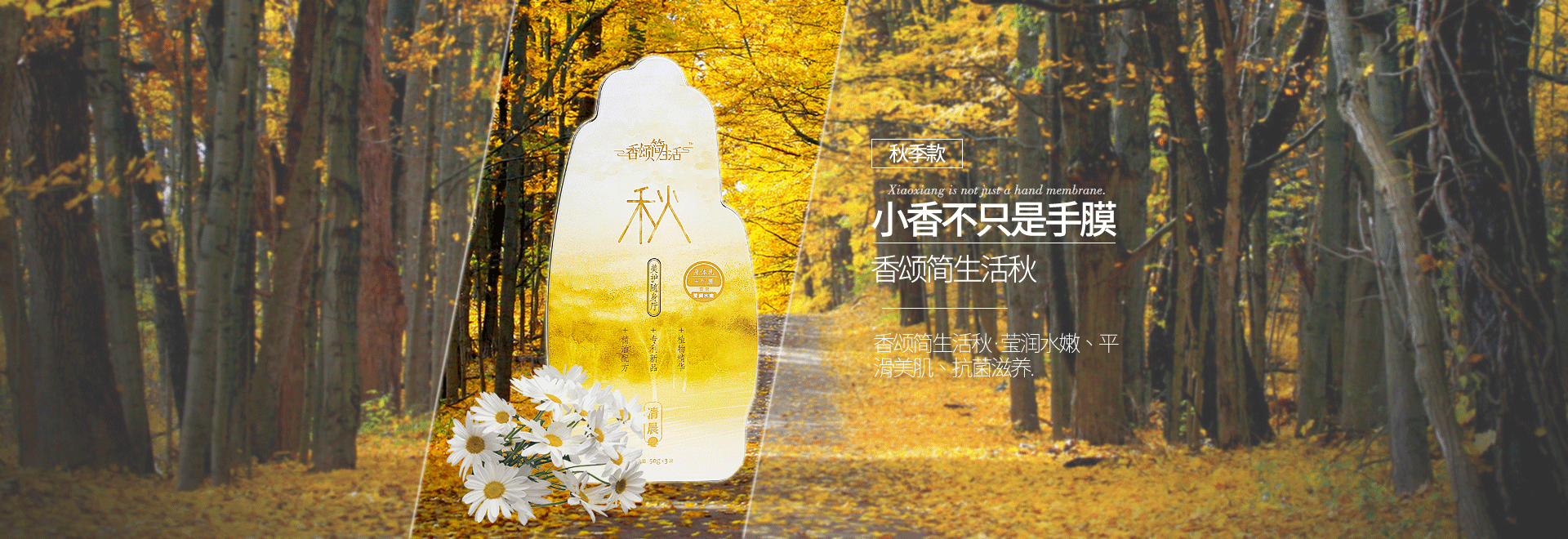 手膜淘宝秋季banner（图ZMTIxOTEyMDk2） - 其他平面 - 站酷设计师沙墩站不酷原创素材 - 站酷ZCOOL