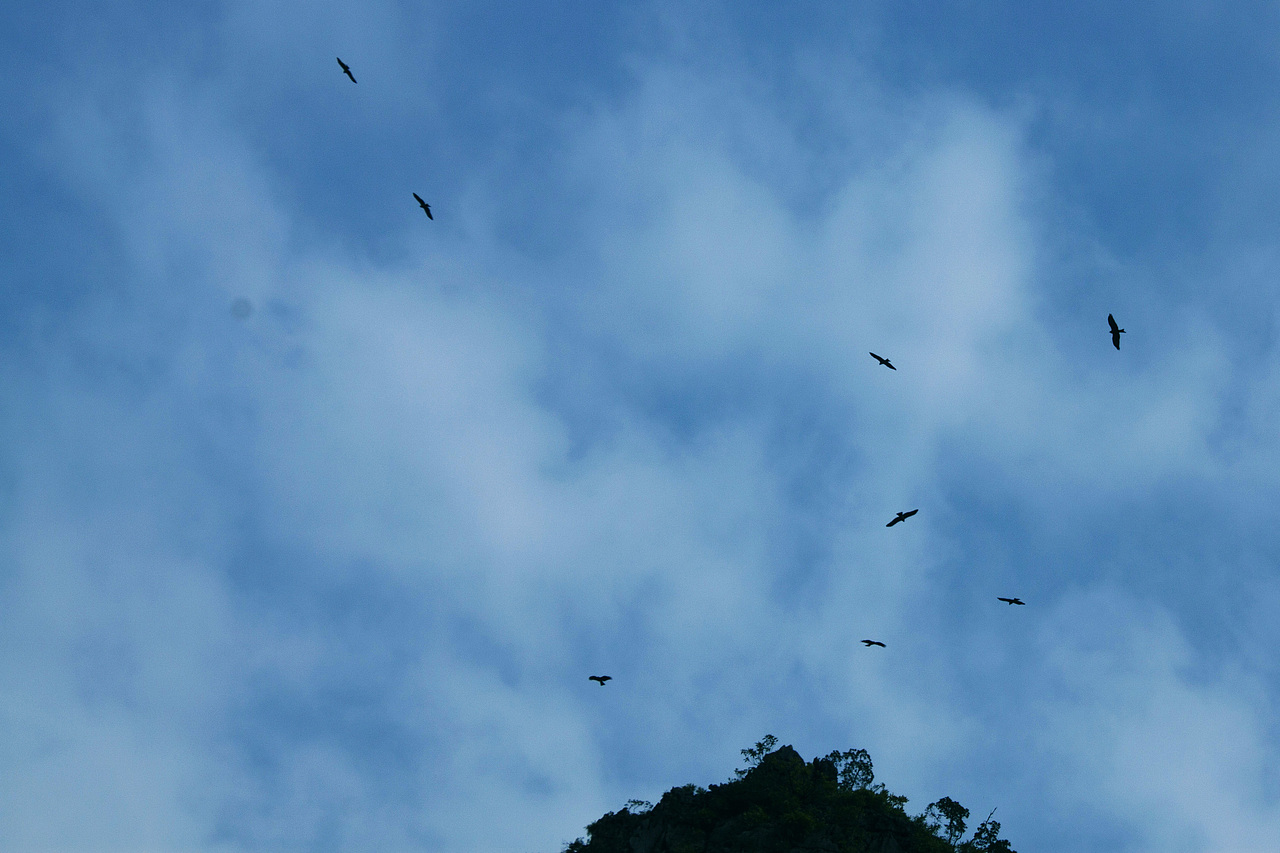 2016元旦越南游记（图ZNDA2OTEzNzY=） - 风光摄影 - 站酷设计师CherryCheng原创素材 - 站酷ZCOOL