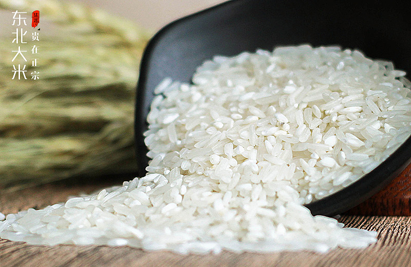 东北大米（图ZODU1NTQ3MzY=） - 产品摄影 - 站酷设计师小虎哥原创素材 - 站酷ZCOOL