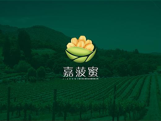嘉菠蜜农产品品牌设计